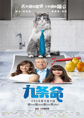 女装h文